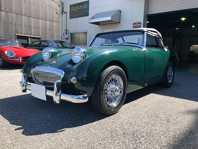 AUSTIN HEALEY SPRITE Mk.1