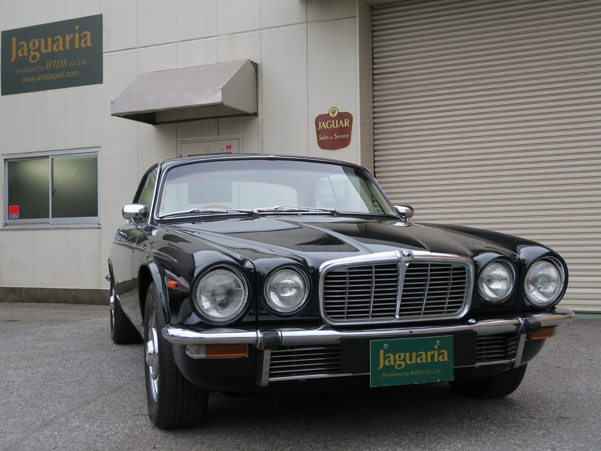 76 XJ-6C 4.2 入庫です！ |WIDS Co.Ltd クラシックジャガーの販売